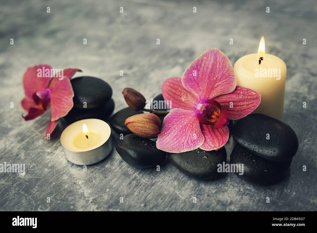 Spa und Wellness. Orchideenblumen mit Massagesteinen und Kerzen auf Felsenhintergrund Stockfoto