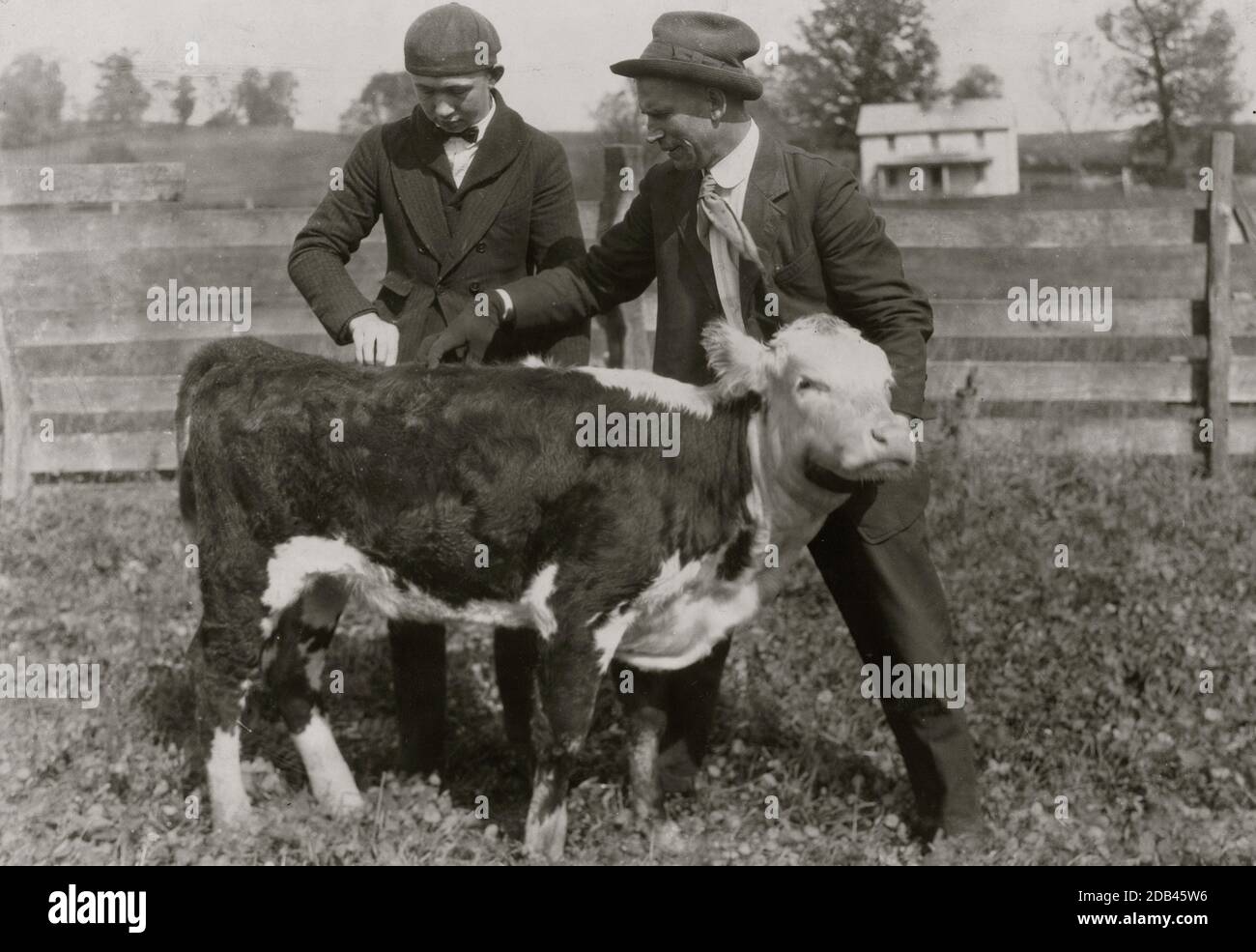 11 Jungen und 2 Mädchen in Hillsboro nehmen jeweils ein Kalb, das vom County Farm Bureau auf Kredit eingerichtet wurde, - jeder stimmt zu, das Beste zu tun, um das Kalb aufzuziehen und auf der jährlichen Show auszustellen. Stockfoto