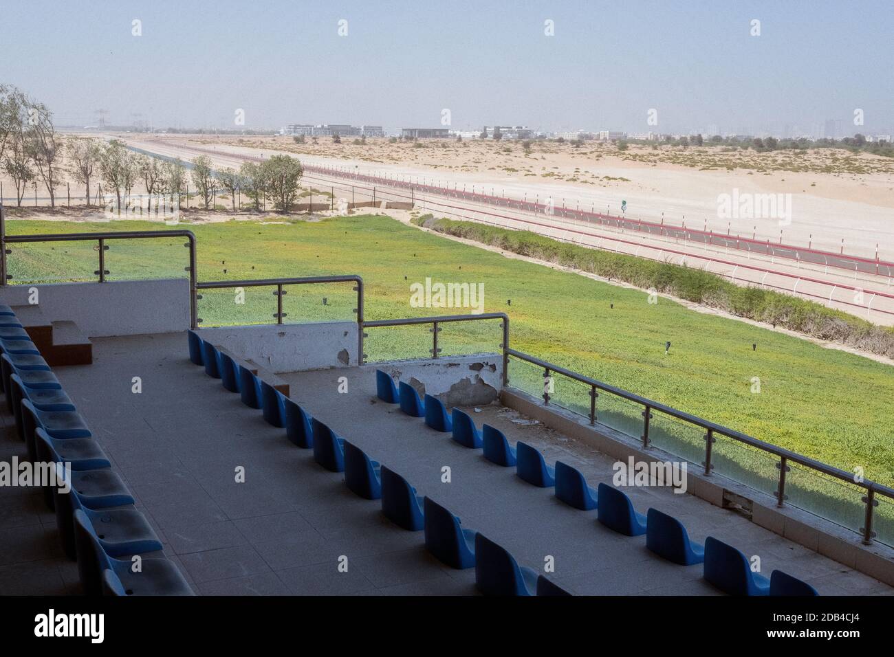 Vereinigte Arabische Emirate / Al Dhaid / Camel Race Track in der Zentralregion des Emirats Sharjah in den Vereinigten Arabischen Emiraten. . Stockfoto