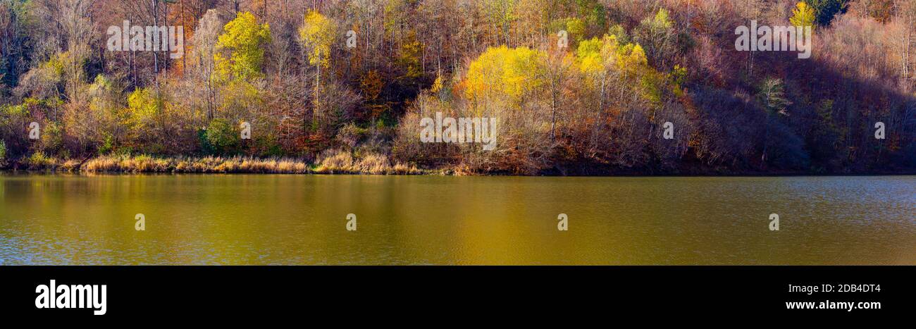 Panorama der Herbstbäume, die sich in den ruhigen Wellen eines spiegeln see Stockfoto