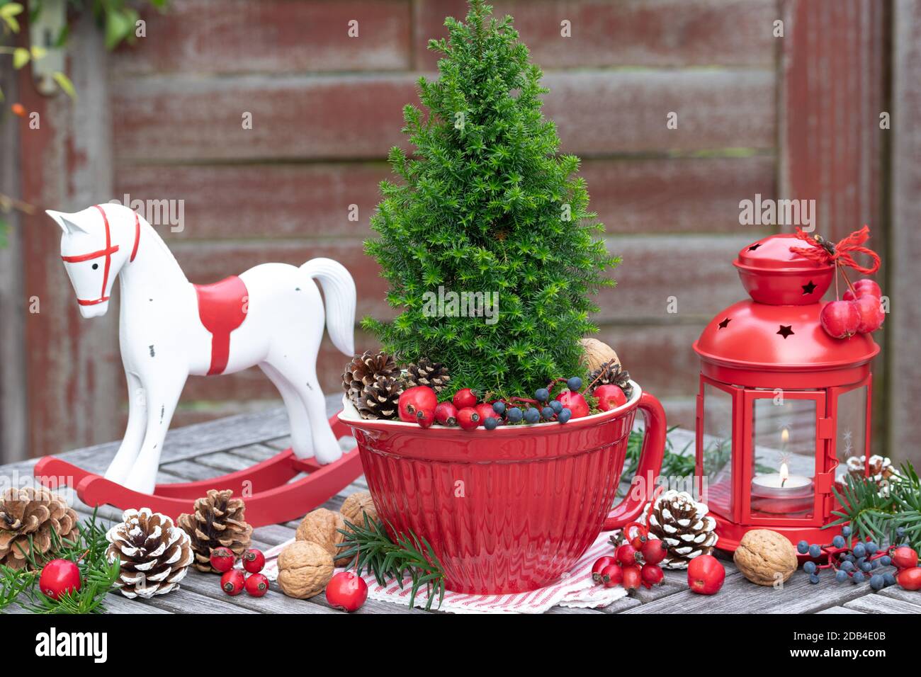 weihnachtsdekoration in rot mit picea glauca, Schaukelpferd und Laterne Stockfoto