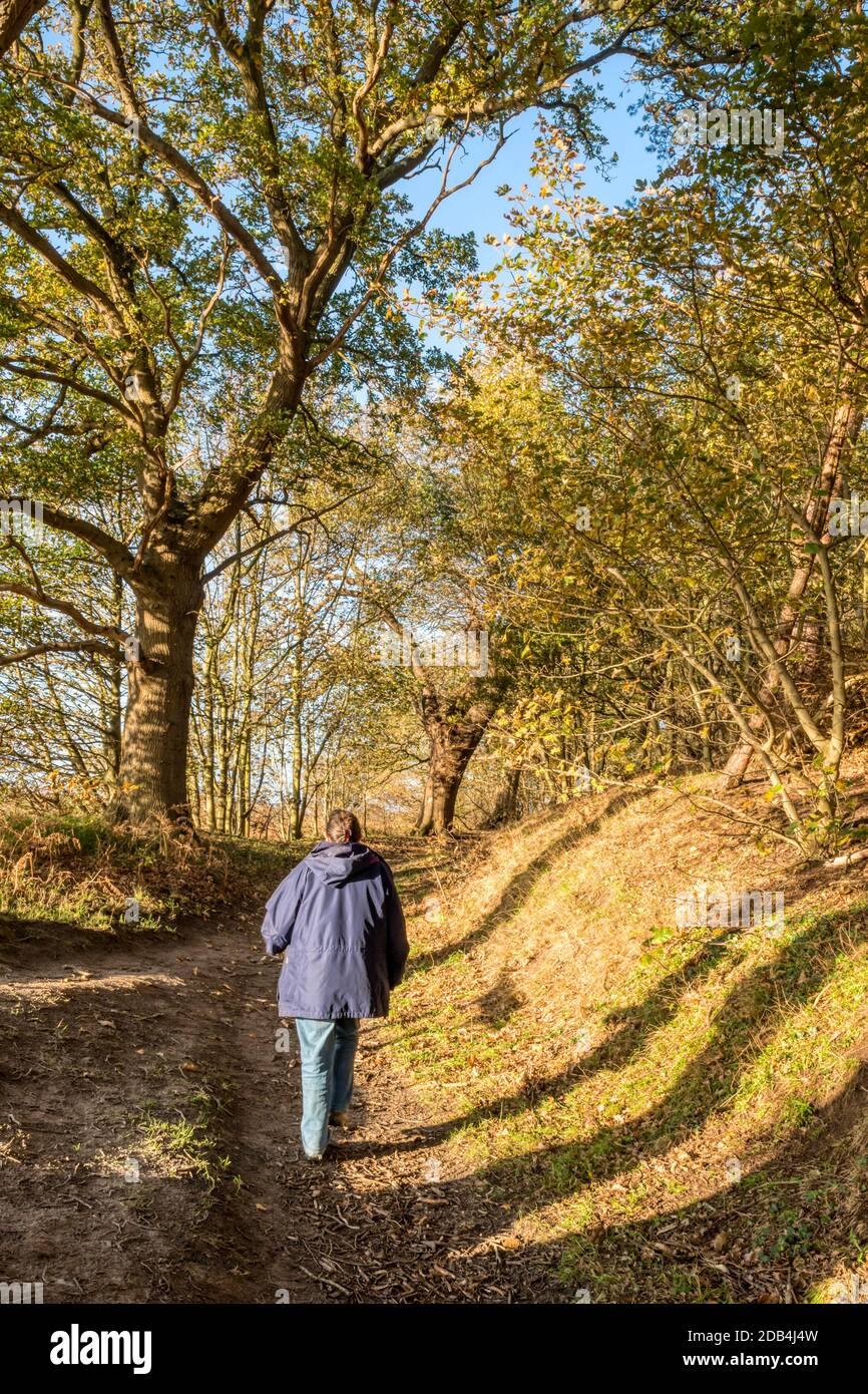 Übung während der zweiten Coronavirus-Sperre November 2020. Ein Herbstspaziergang im Wald. Stockfoto