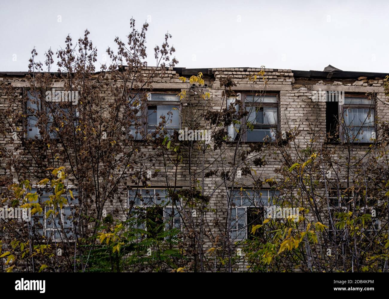 Gespenstisch verlassene Haus unter den Bäumen in Tschernobyl Ukraine Stockfoto