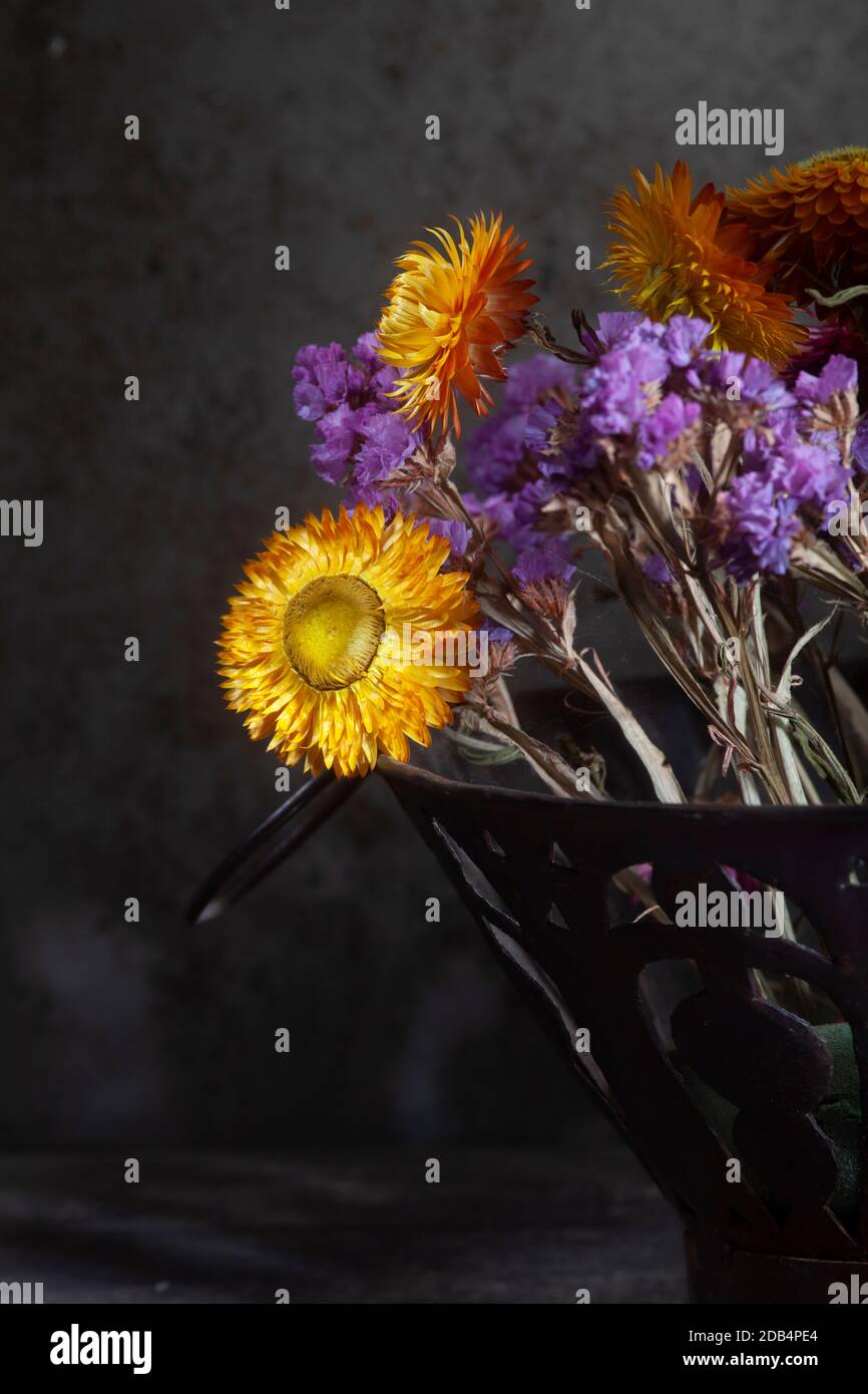 Stillleben Nahaufnahme Foto von Bouquet von lebendige getrocknet Blumen auf dunklem Hintergrund Stockfoto