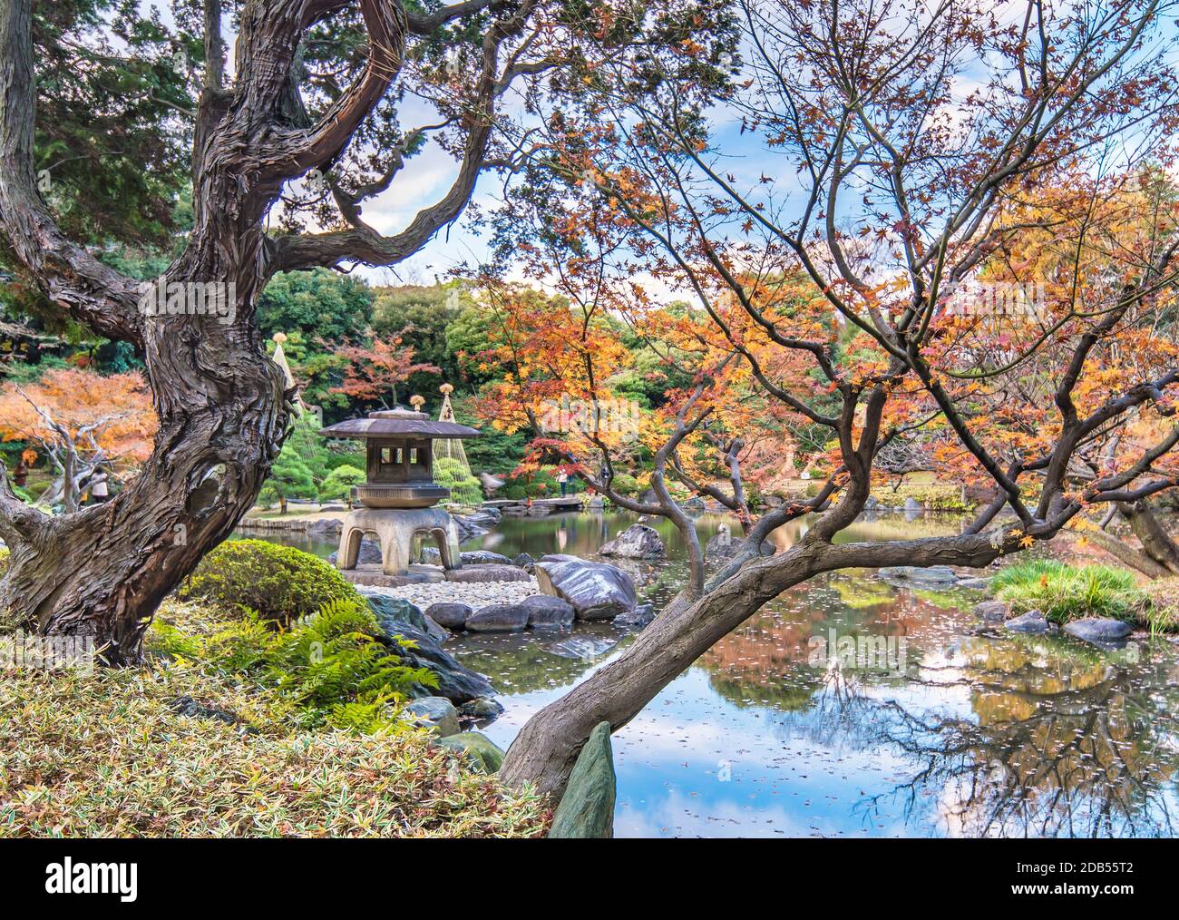 Yukimi Stein Laterne zwischen gesteppte Kiefern in der Art eines Ukiyoe drucken in der Kyufurukawa Garten in Tokio erscheinen Stockfoto