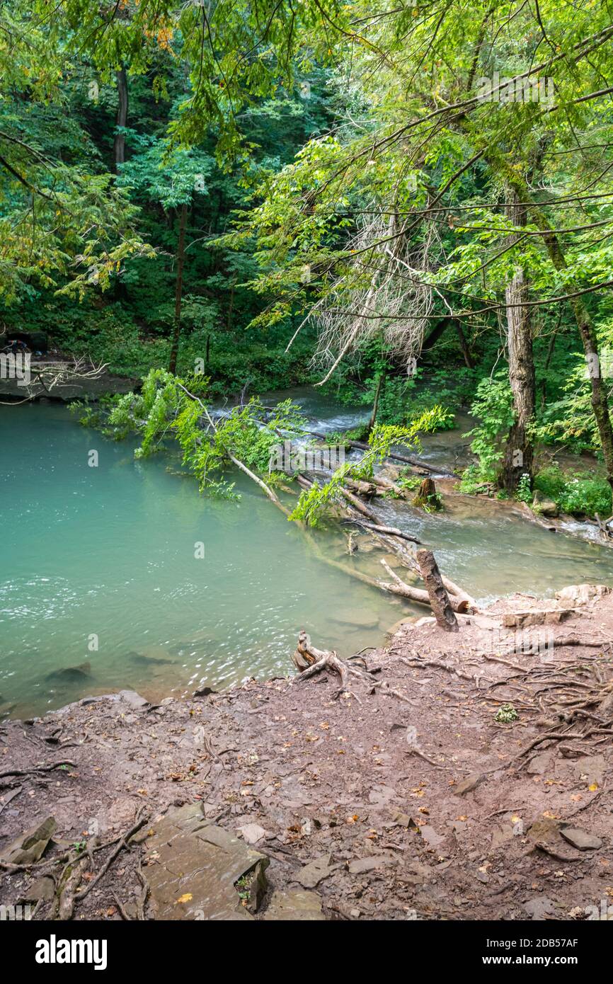 Lower Decew Conservation Area Ontario Kanada Stockfoto