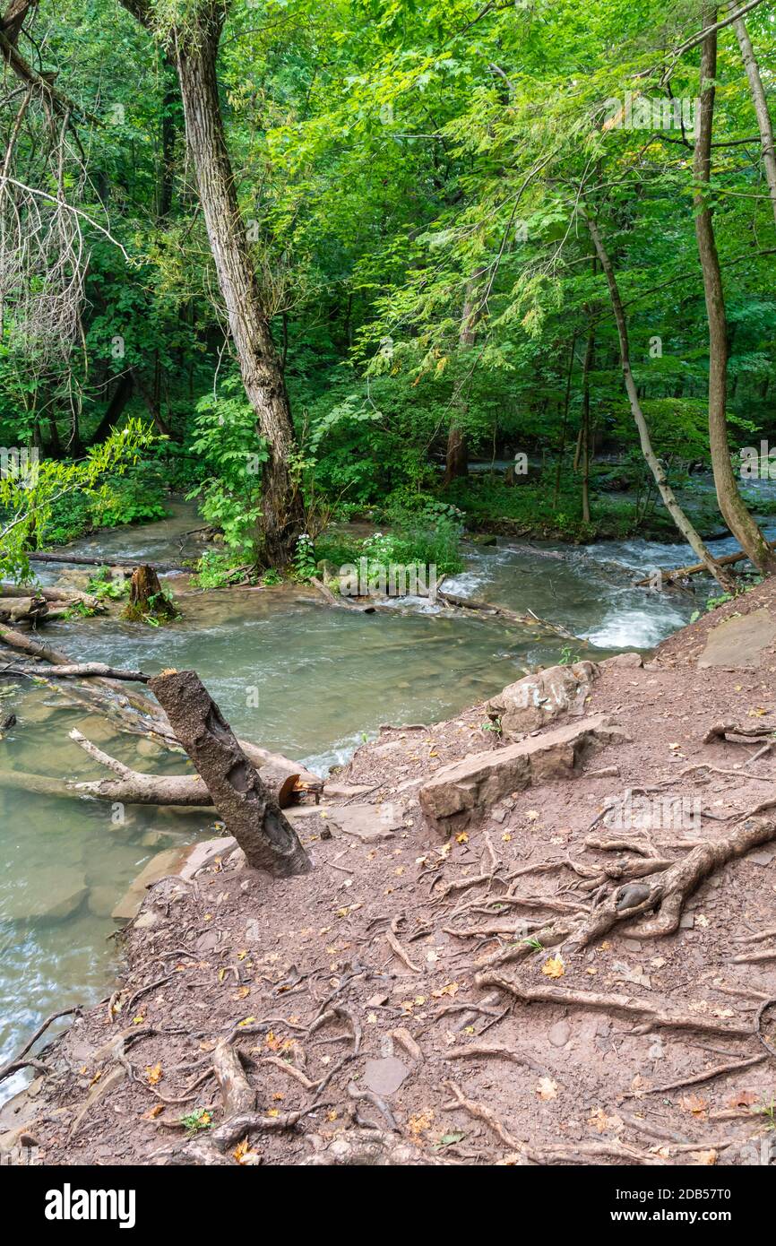 Lower Decew Conservation Area Ontario Kanada Stockfoto