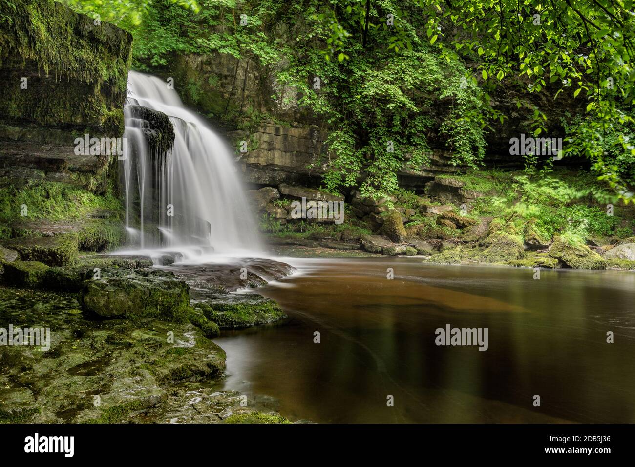 Friedlicher, abgelegener Wasserfall in einem Waldwald in den Yorkshire Dales, Großbritannien. Stockfoto