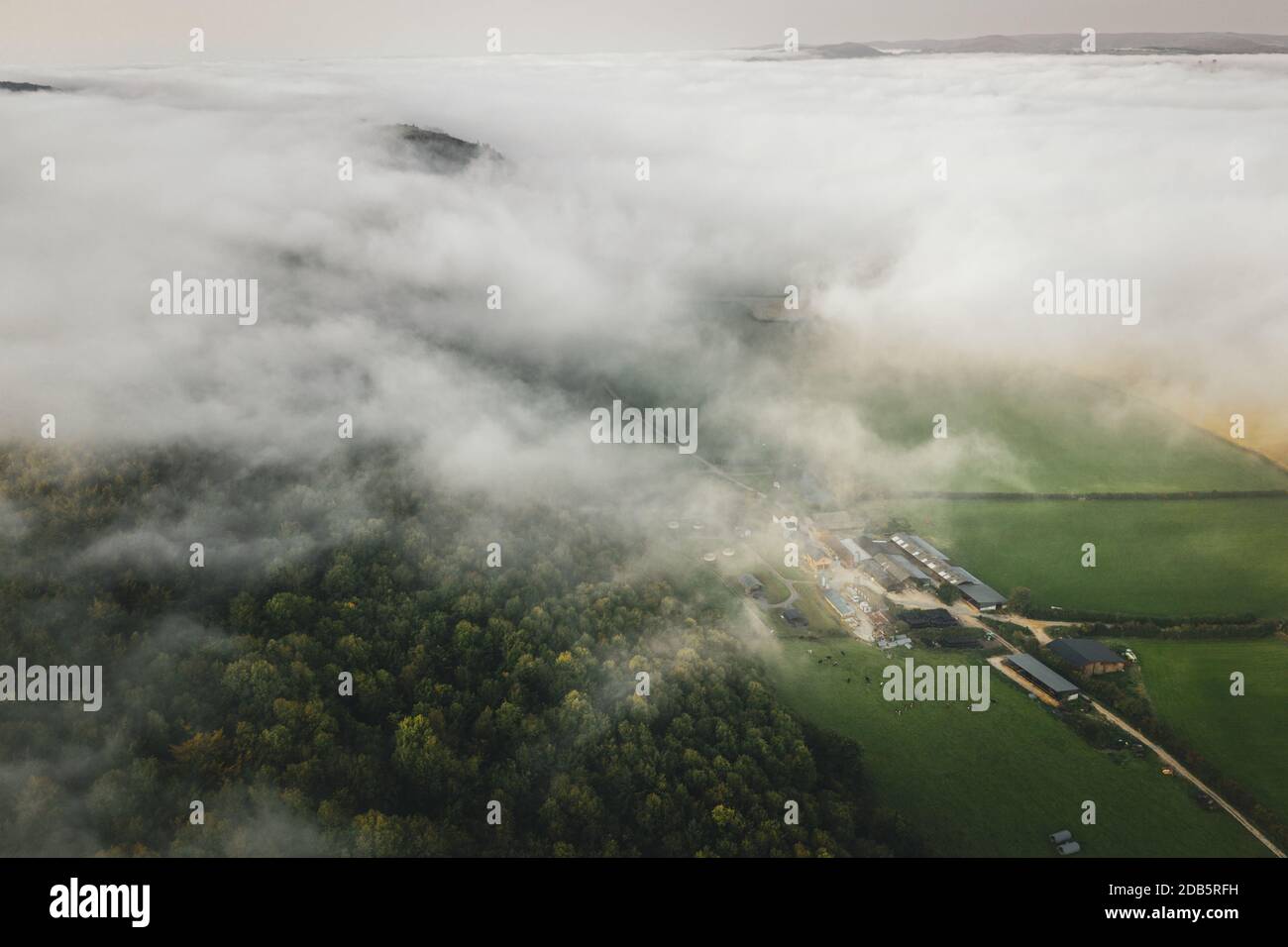 Im Herbst schießen Drohnen über nebligen Ackerland Vereinigtes Königreich Stockfoto