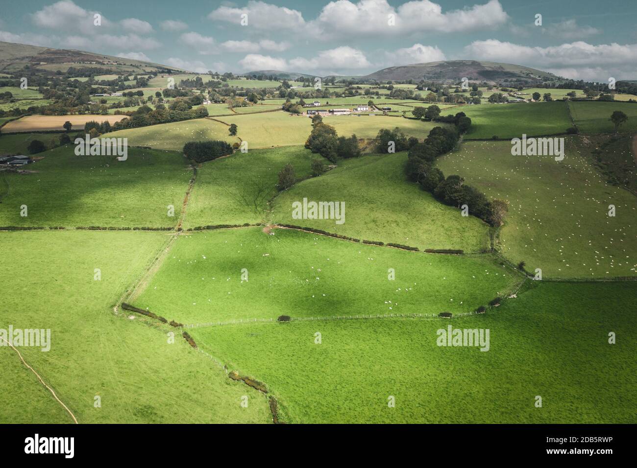 Luftaufnahme über frischen grünen Hügeln bei hellem Herbsttag. Wales in Großbritannien Stockfoto