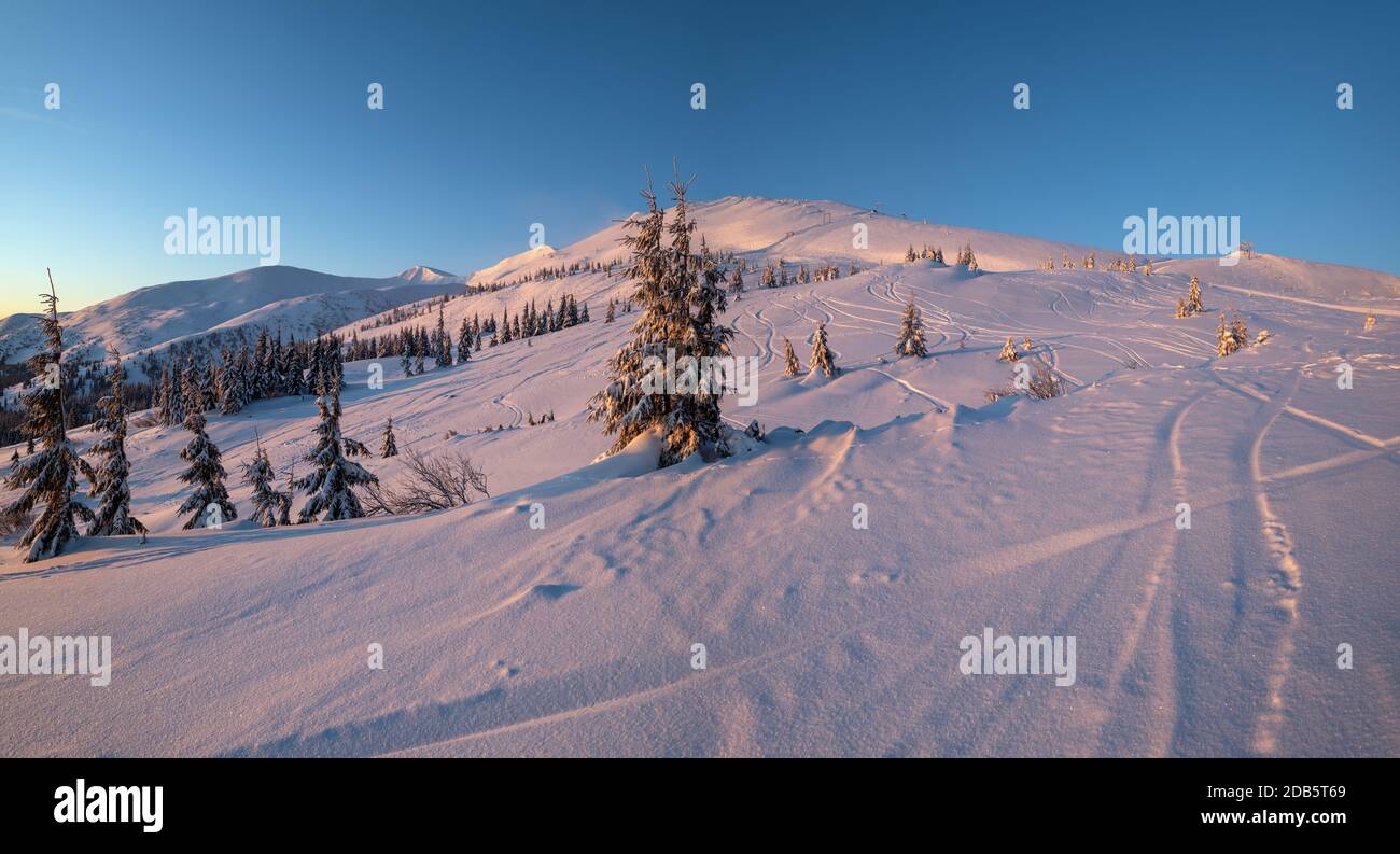Alpine Resort Skipisten und Lifte. Vor Sonnenaufgang Morgen Svydovets Bergrücken und schneebedeckte Tannenbäume Blick, Dragobrat, Ukraine Karpaten. Stockfoto