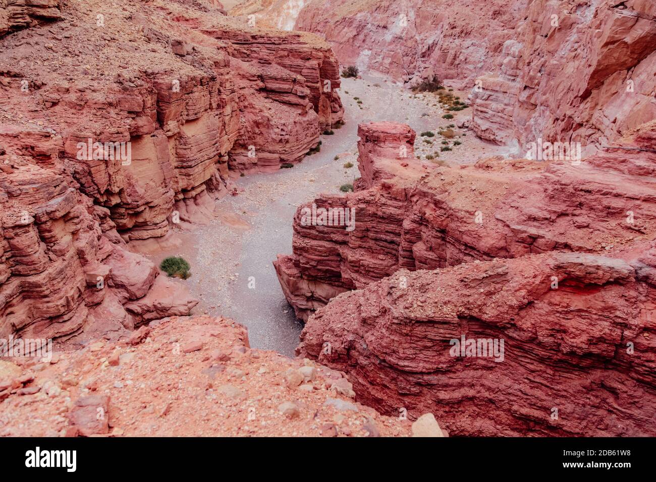 Die roten Sandfelsen im Timna Park, Israel. Horizontale Ansicht. Stockfoto