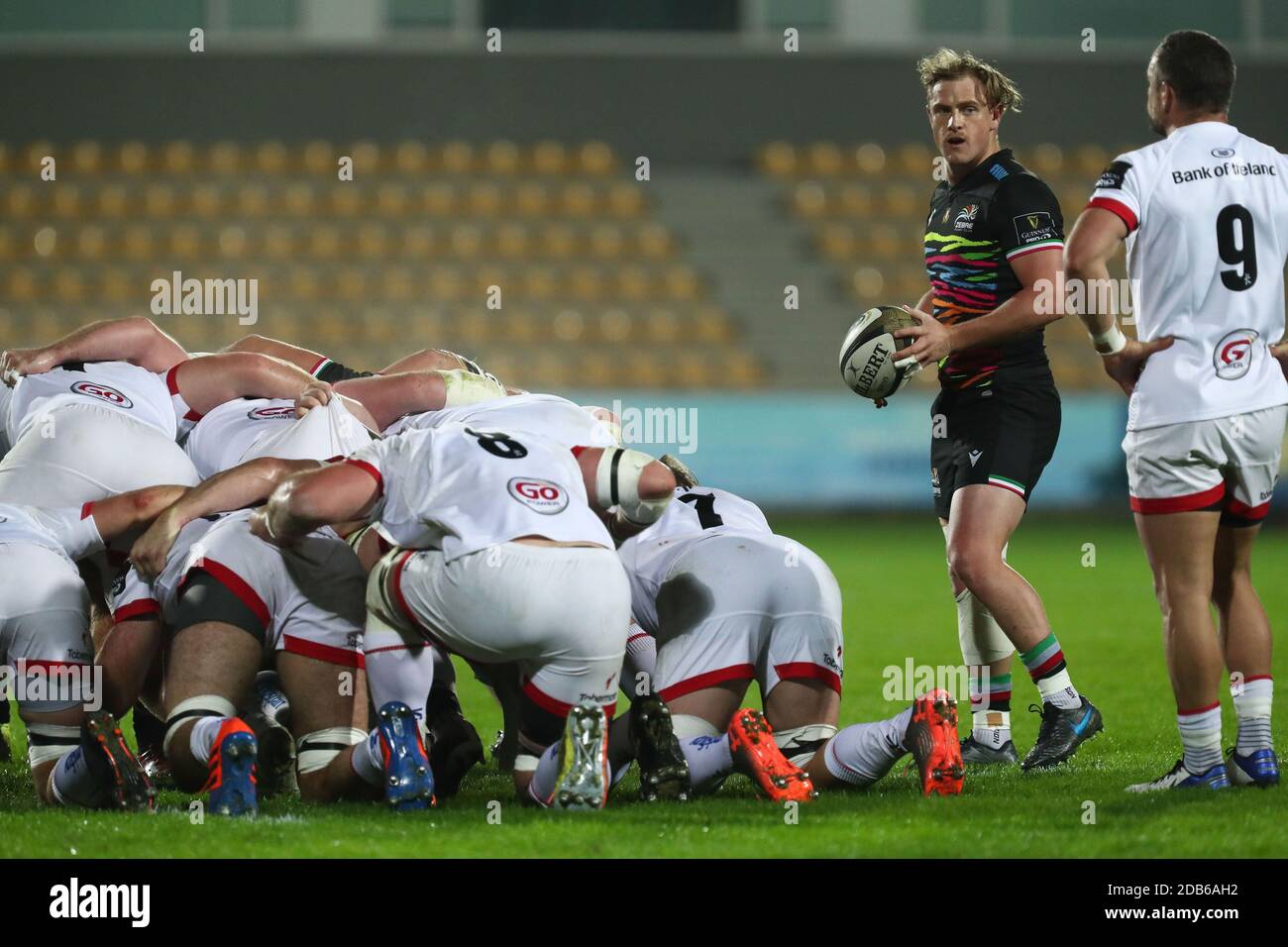 Parma, Italien. November 2020. Joshua Renton ist bereit für das Scrum während Zebre Rugby vs Ulster Rugby, Rugby Guinness Pro 14 Spiel in parma, Italien, November 16 2020 Kredit: Unabhängige Fotoagentur/Alamy Live Nachrichten Stockfoto