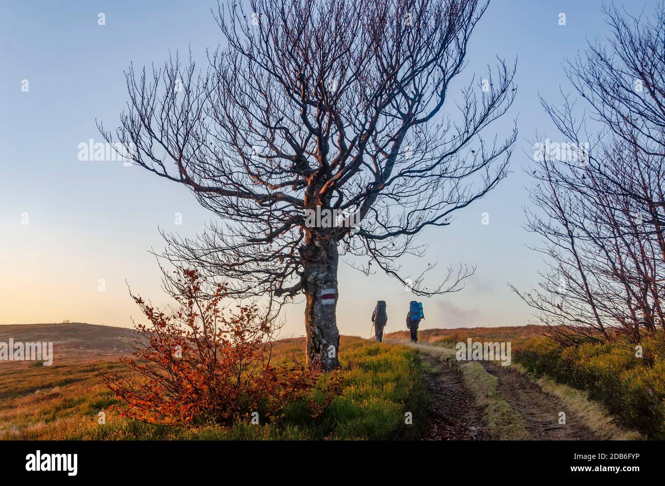 Zwei Wanderer mit Rucksäcken auf dem malerischen Bergweg. Outdoor-Urlaub und soziale Isolation Konzept Stockfoto