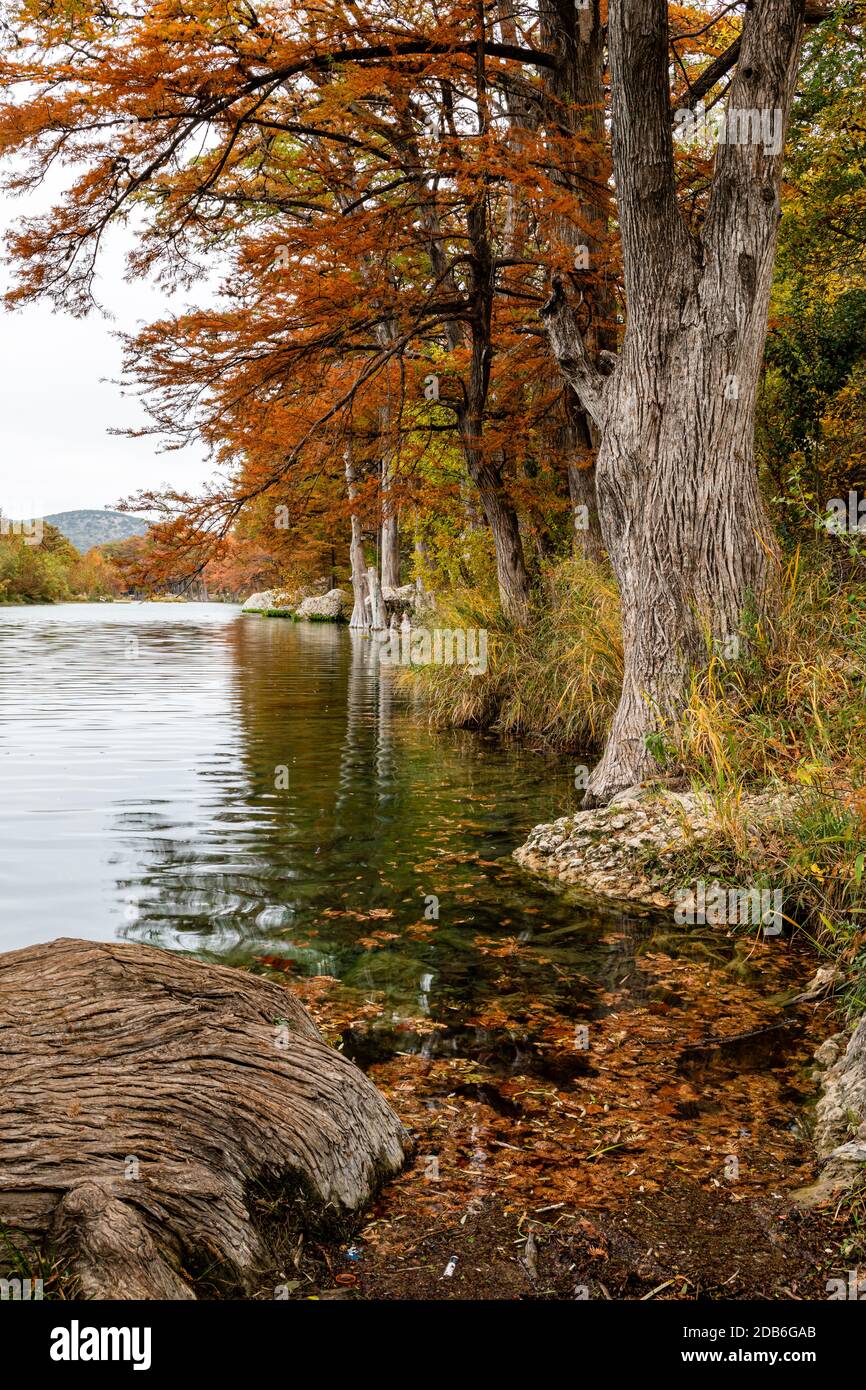 Herbstfarben im Texas Hill Country Stockfoto