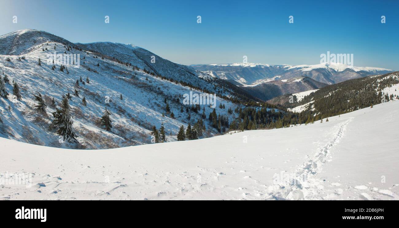 Winterberge, Panorama - schneebedeckte Gipfel der Alpen. Panoramalandschaft mit wunderschönen schneebedeckten Gipfeln an sonnigen Tagen. Luftaufnahme von hoch Stockfoto