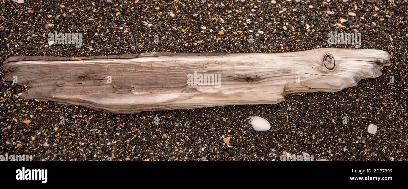 Ein Blick von oben auf ein Stück Holz auf dem Nasser Boden an einem regnerischen Tag Stockfoto
