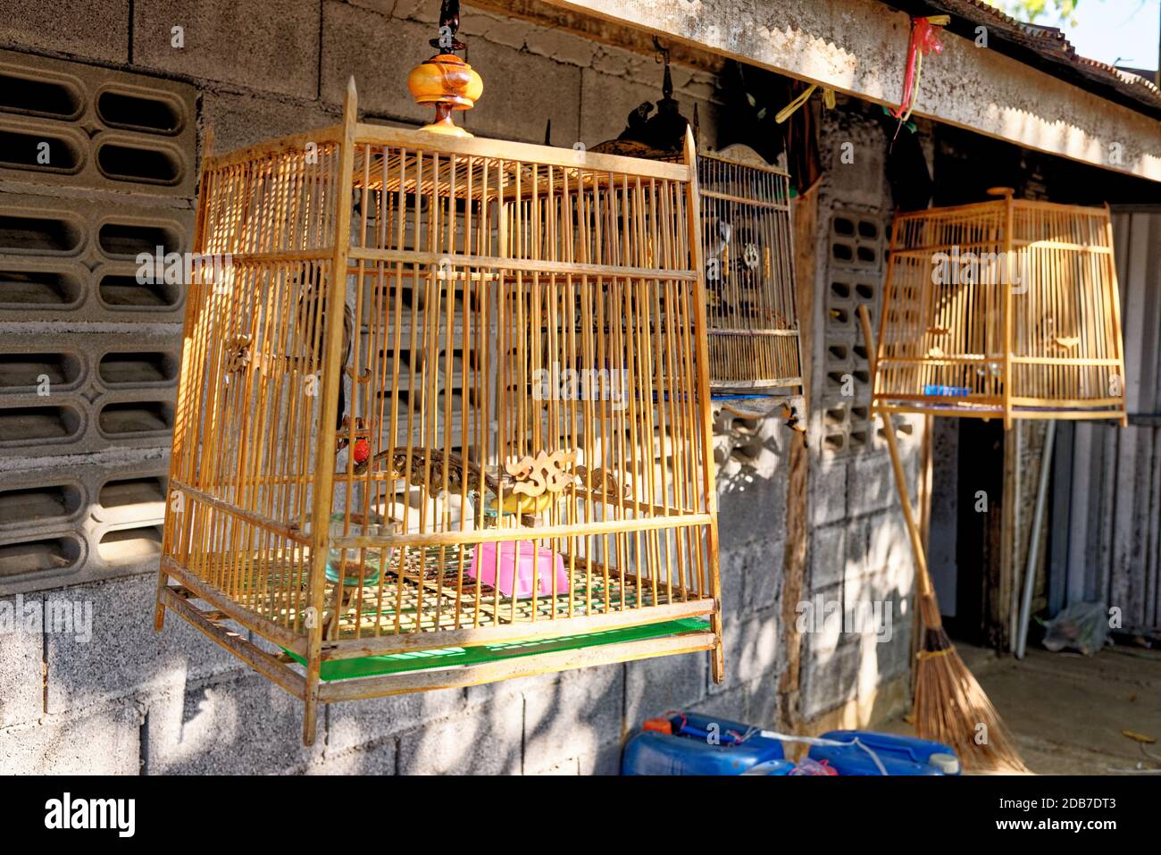 Vögel in Käfigen in traditionellen thailändischen Dorf - Krabi, Thailand - 25. Januar 2020 Stockfoto