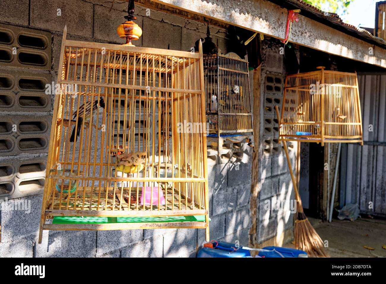 Vögel in Käfigen in traditionellen thailändischen Dorf - Krabi, Thailand - 25. Januar 2020 Stockfoto
