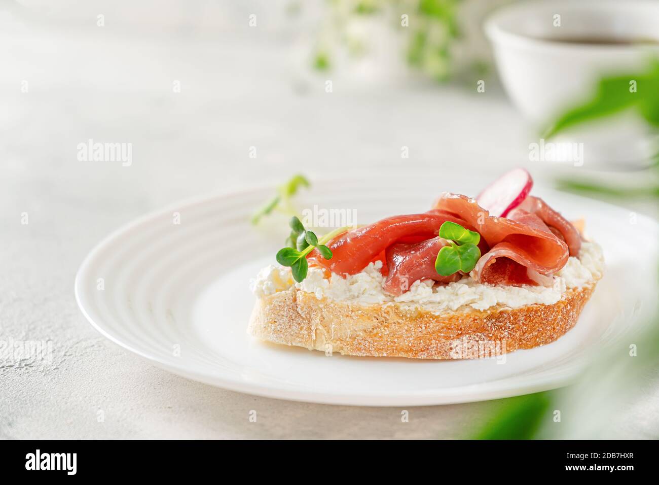 Offenes Prosciutto-Sandwich mit Frischkäse, Rettich und Mikrogemüse auf weißem Hintergrund. Speicherplatz kopieren Stockfoto