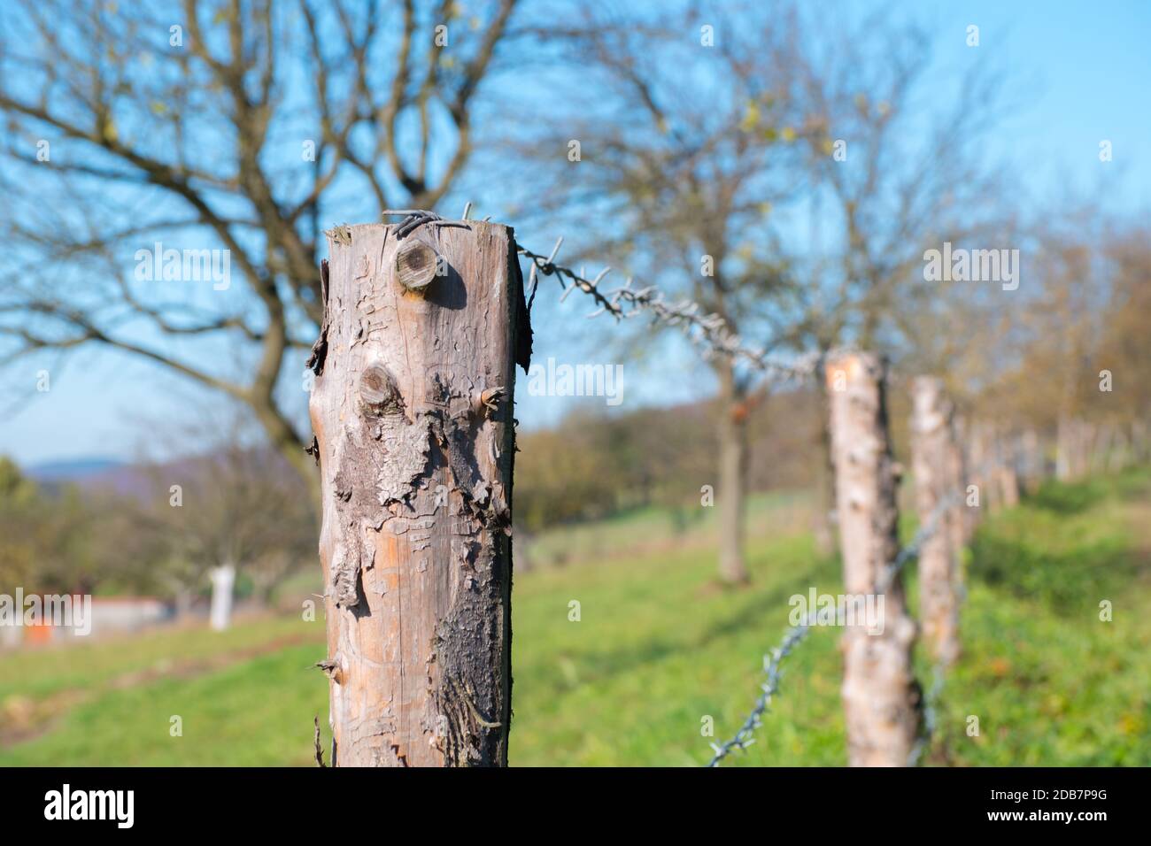 Zaun aus Holzrad und Stacheldraht auf den Garten, um Land von wilden Tieren zu verhindern. Stockfoto