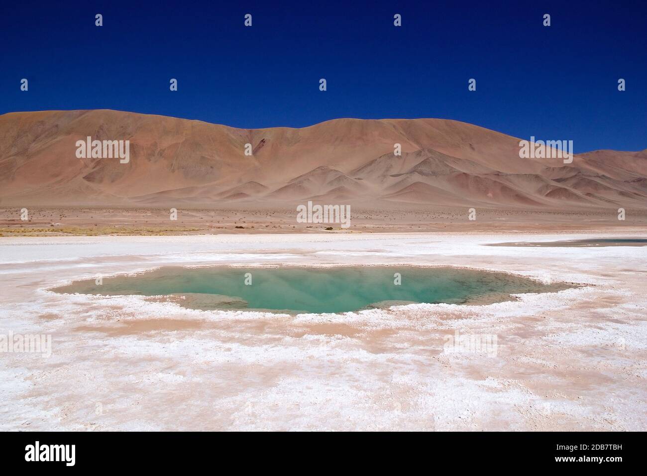 Ojos de Mar in der Nähe der Stadt Tolar Grande in Puna, Argentinien. Ojos de Mar ist eine Gruppe von kleinen Gewässern, die durch eine blaue Farbe in weißem sa gekennzeichnet sind Stockfoto