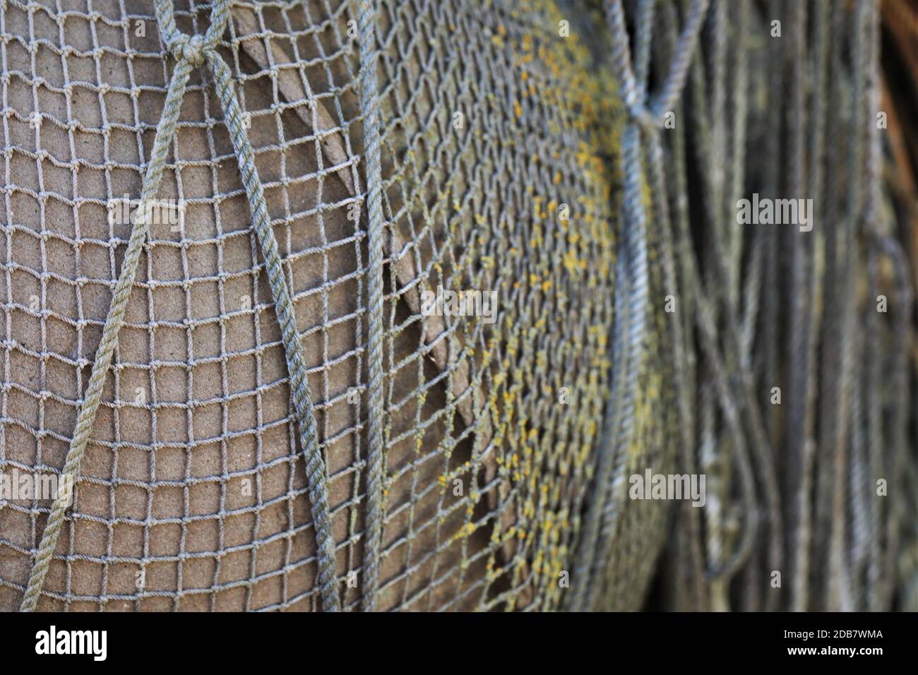 Fischnetz in einer dekorativen Art und Weise hängen Stockfoto