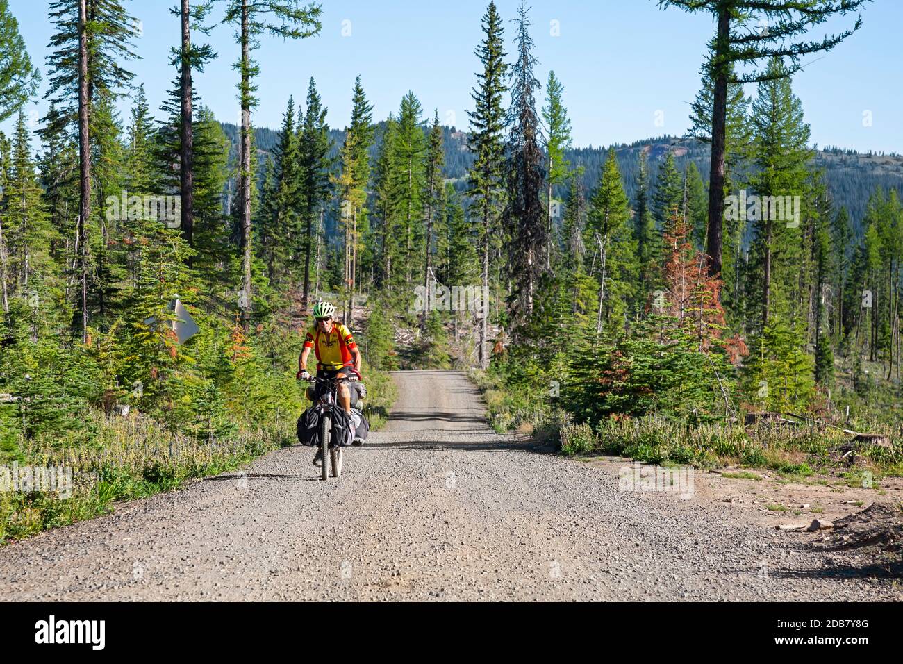 WA18147-00...WASHINGTON - Radler auf der Cascades Adventure Route nähert sich dem Gipfel der Road 1500 im Wenatchee National Forest. Stockfoto