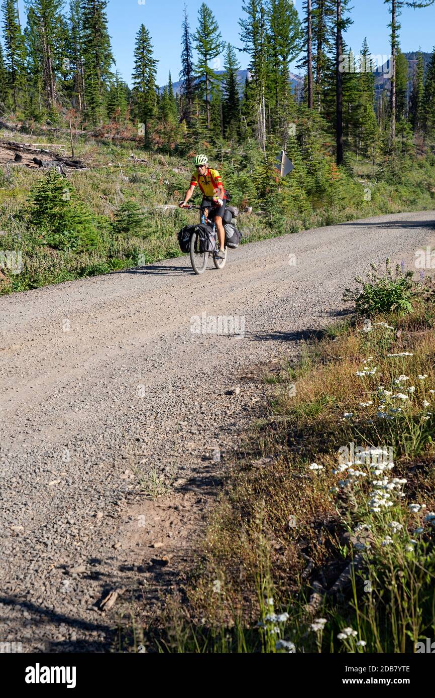 WA18150-00...WASHINGTON - Radler auf der Cascades Adventure Route nähert sich dem Gipfel der Road 1500 im Wenatchee National Forest. Stockfoto