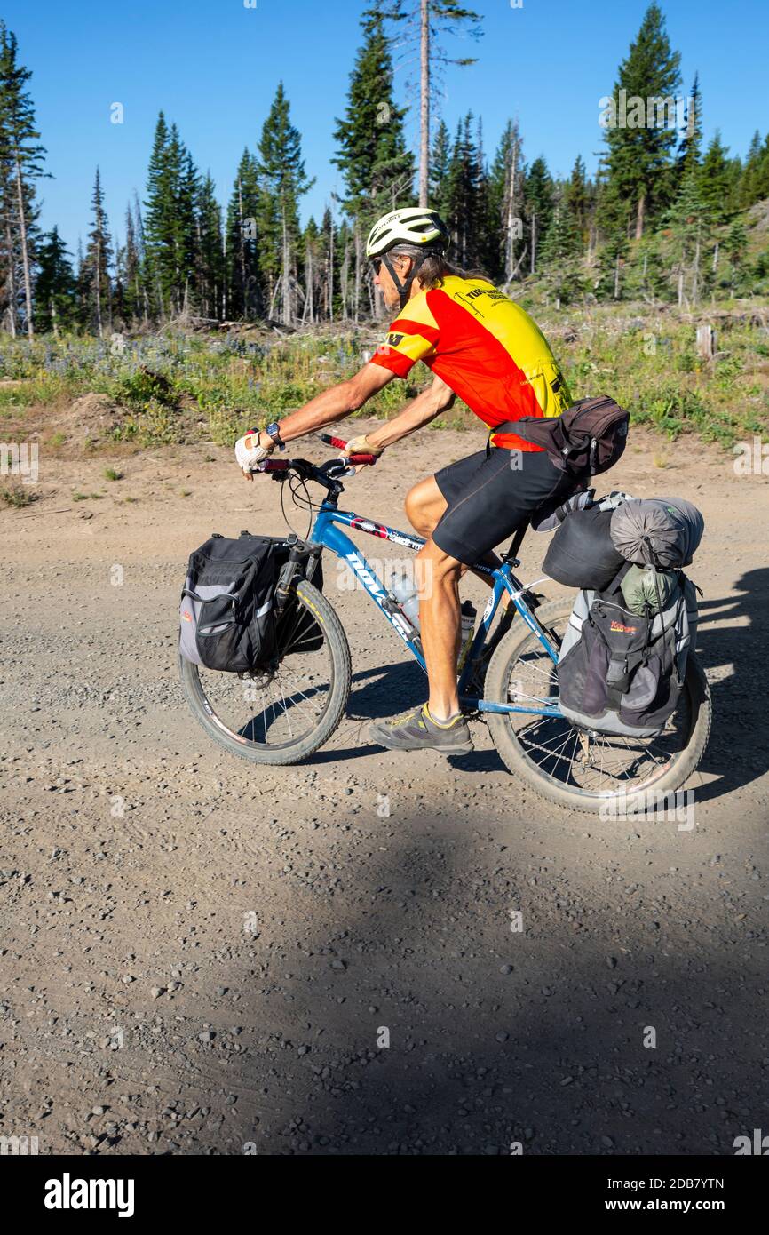 WA18151-00...WASHINGTON - Radfahrer auf der Cascades Adventure Route nähert sich der Gipfel der Straße 1500 und Vorbereitung auf den langen Abstieg Fahren Sie auf den Highway 12 Stockfoto