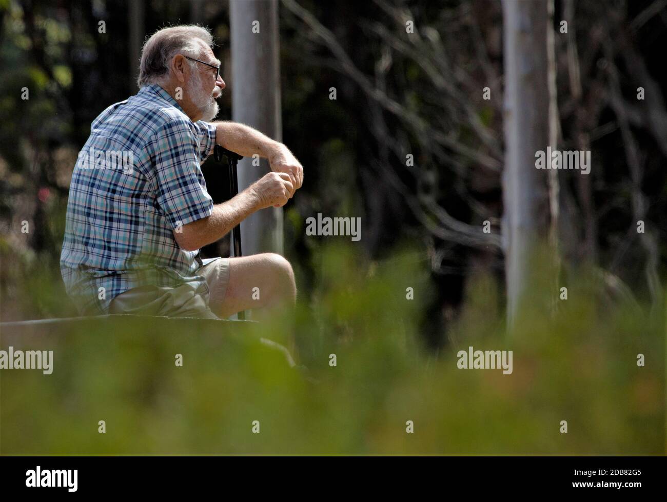 75-jähriger älterer weißgrauhaariger Mann mit Brille Sitzen im Wald in der Nähe von Central California Strand in der Zukunft In Karierte und Shorts Stockfoto