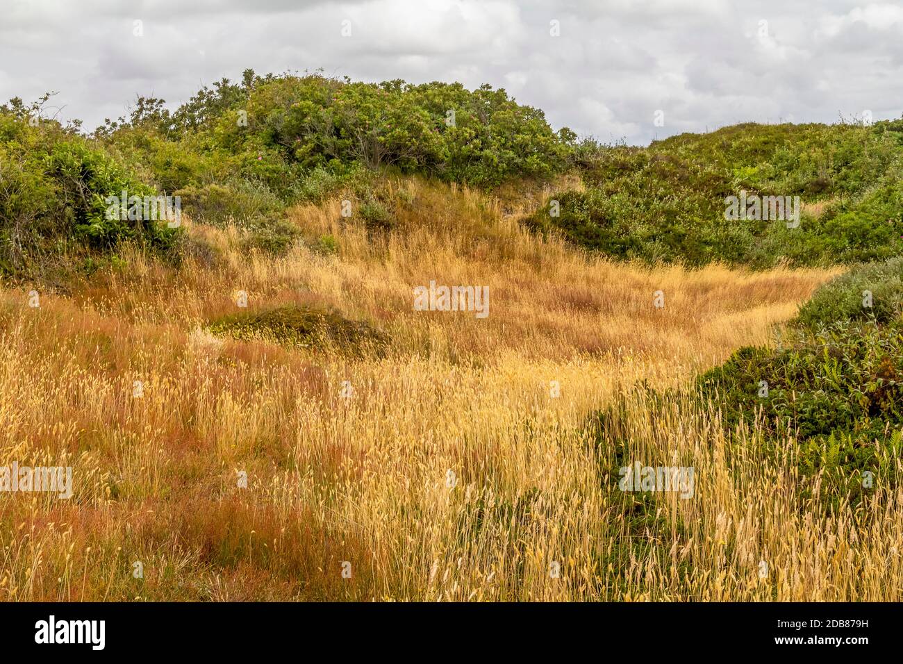 Eindruck von Spiekeroog, eine der Ostfriesischen