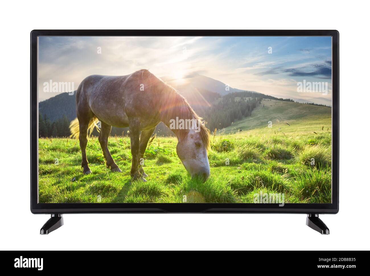 Schwarz High Definition TV mit Bild von Pferd auf dem Gras auf die Berge Stockfoto