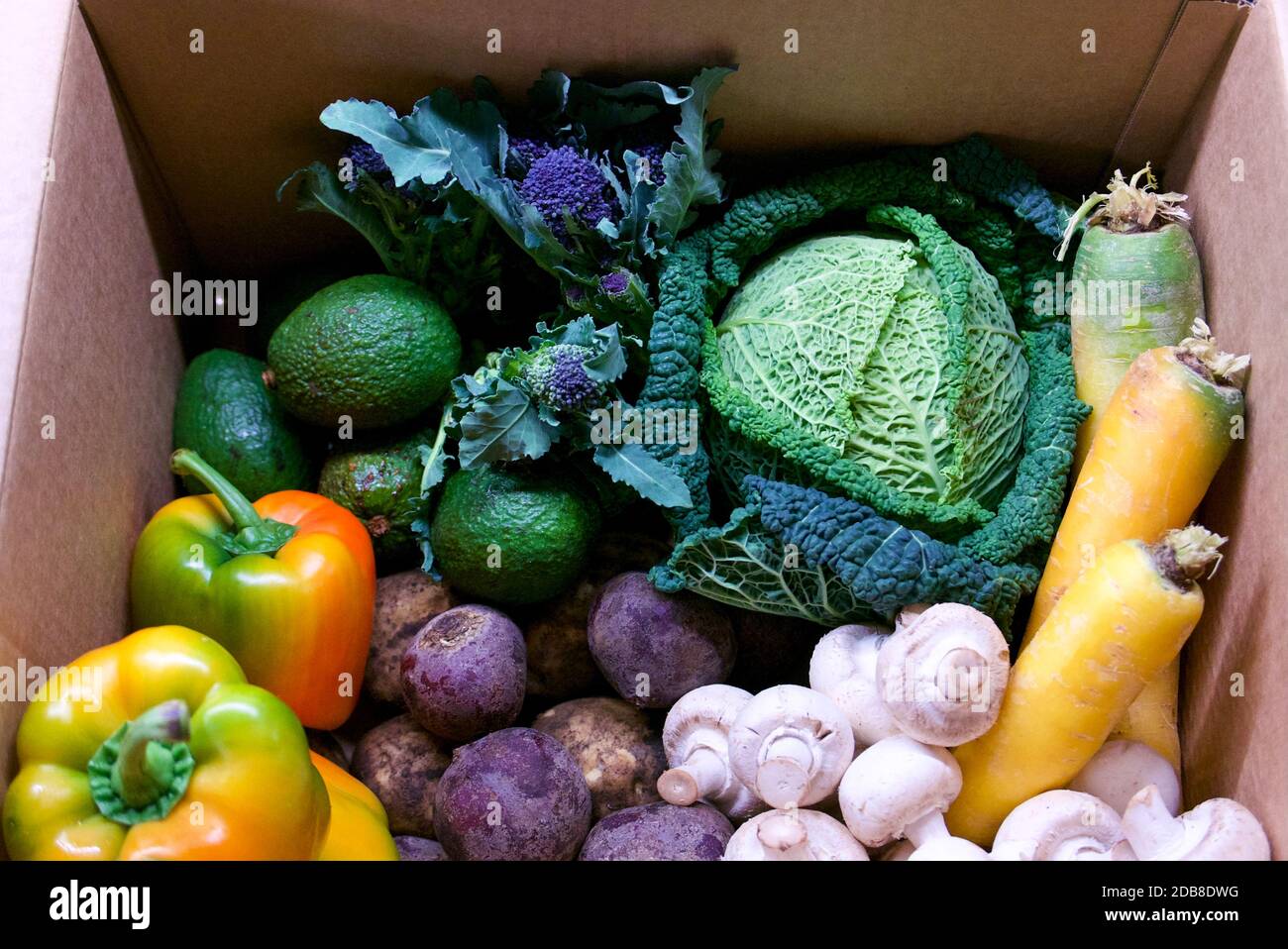 Frischgemüsezustellbox (Oddbox) mit saisonalen Herbstprodukten. Oddbox rettet Gemüse, das von Supermärkten verschwendet wird, um Lebensmittelverschwendung zu verhindern Stockfoto