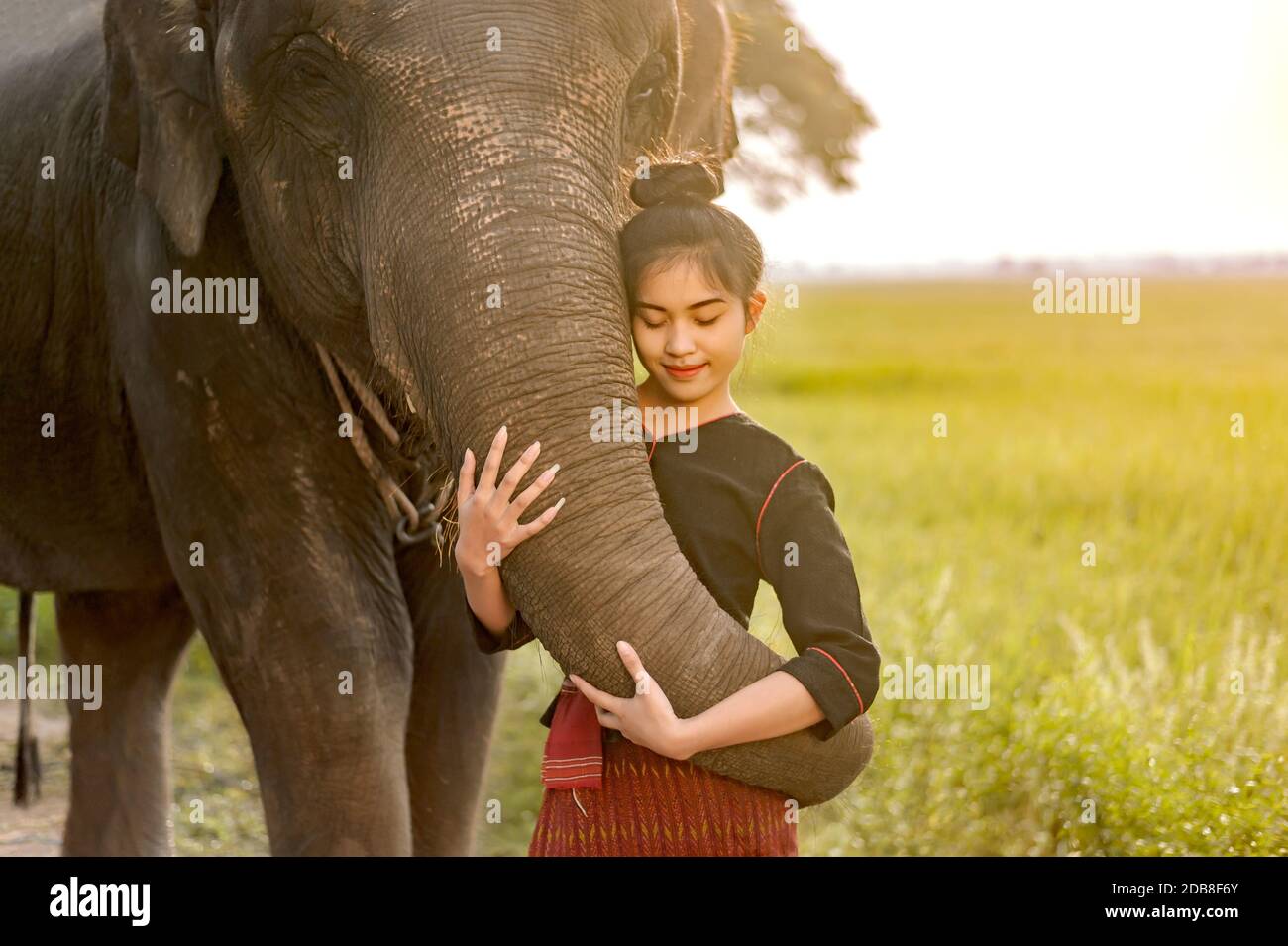 Porträt einer Frau, die auf einem Reisfeld mit einem Elefanten steht, Thailand Stockfoto