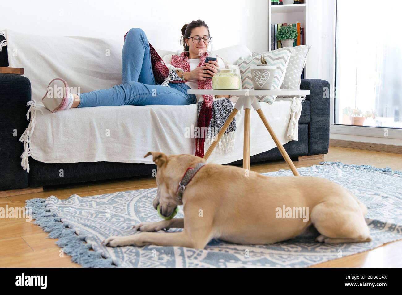 Mädchen zu Hause entspannen auf dem Sofa mit einem Handy in den Händen. Der Hund spielt mit einem Ball im Teppich. Quarantänezeiten. Stockfoto