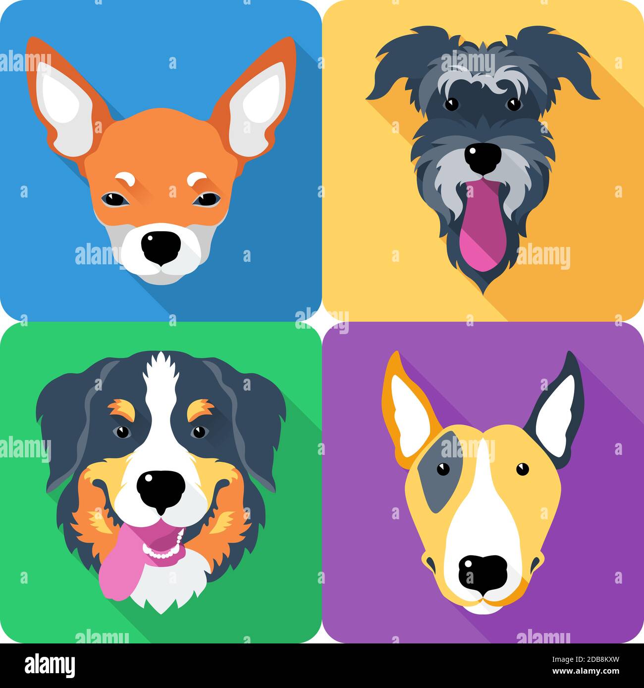 Set Dog Icon Flat Design, Bull Terrier und Chihuahua, Miniatur Schnauzer und Berner Sennenhund Stockfoto