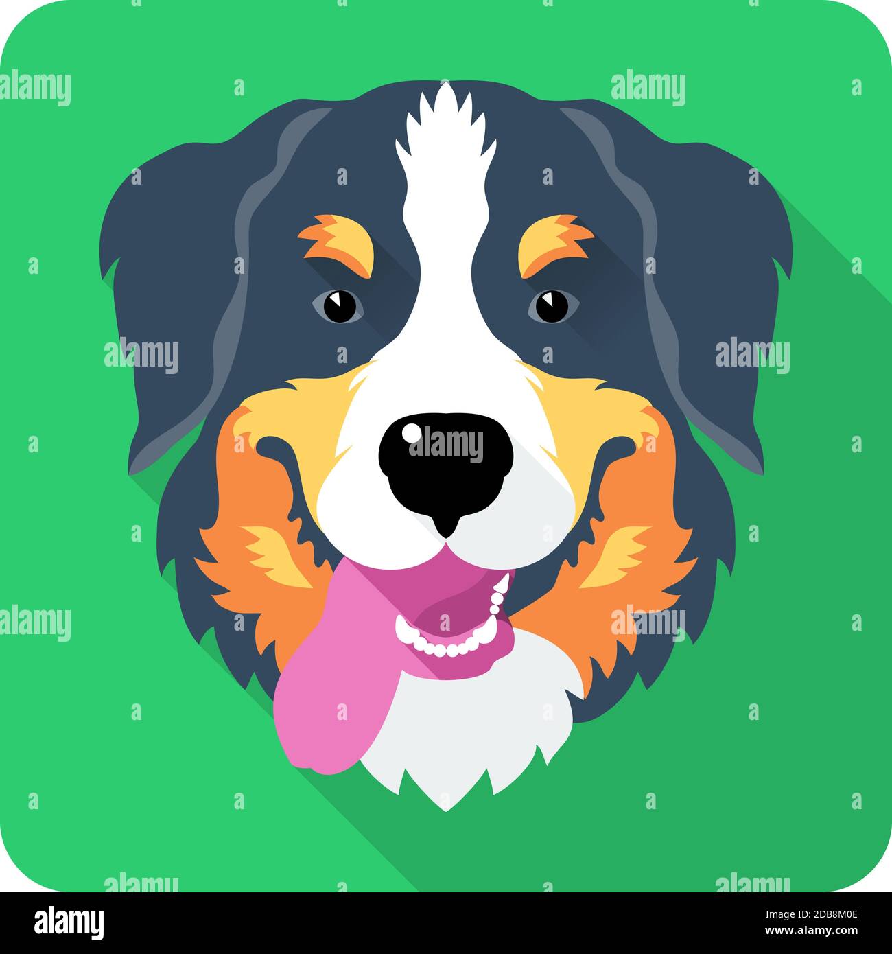 Kopfhund Berner Sennenhund Icon flaches Design Stockfoto