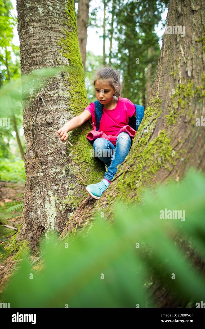 Little Girl Climbs Tree Young Fotos Und Bildmaterial In Hoher little-girl-climbs-tree-young-fotos-und-bildmaterial-in-hoher