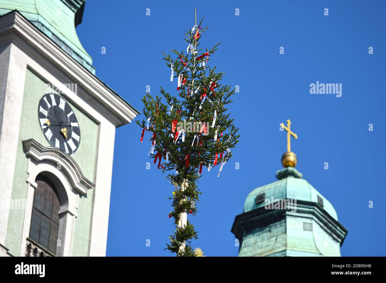 Maibaum-Aufstellungen in Linz an der Donau (Oberösterreich, Österreich) - ein Maibaum ist ein geschmückter Baum oder Baumstamm, der in Österreich zum 1. Stockfoto