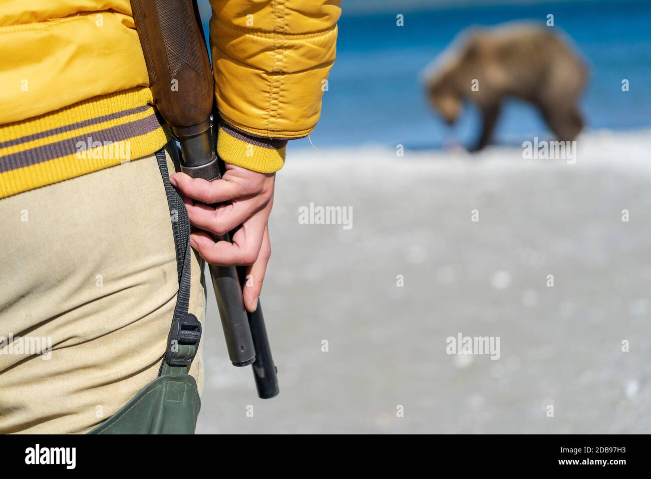 Park Ranger mit Schrotflinte beobachten braun bearÃ‚Â (UrsusÃ‚Â arctos), KurileÃ‚Â See, Kamtschatka Halbinsel, Russland Stockfoto