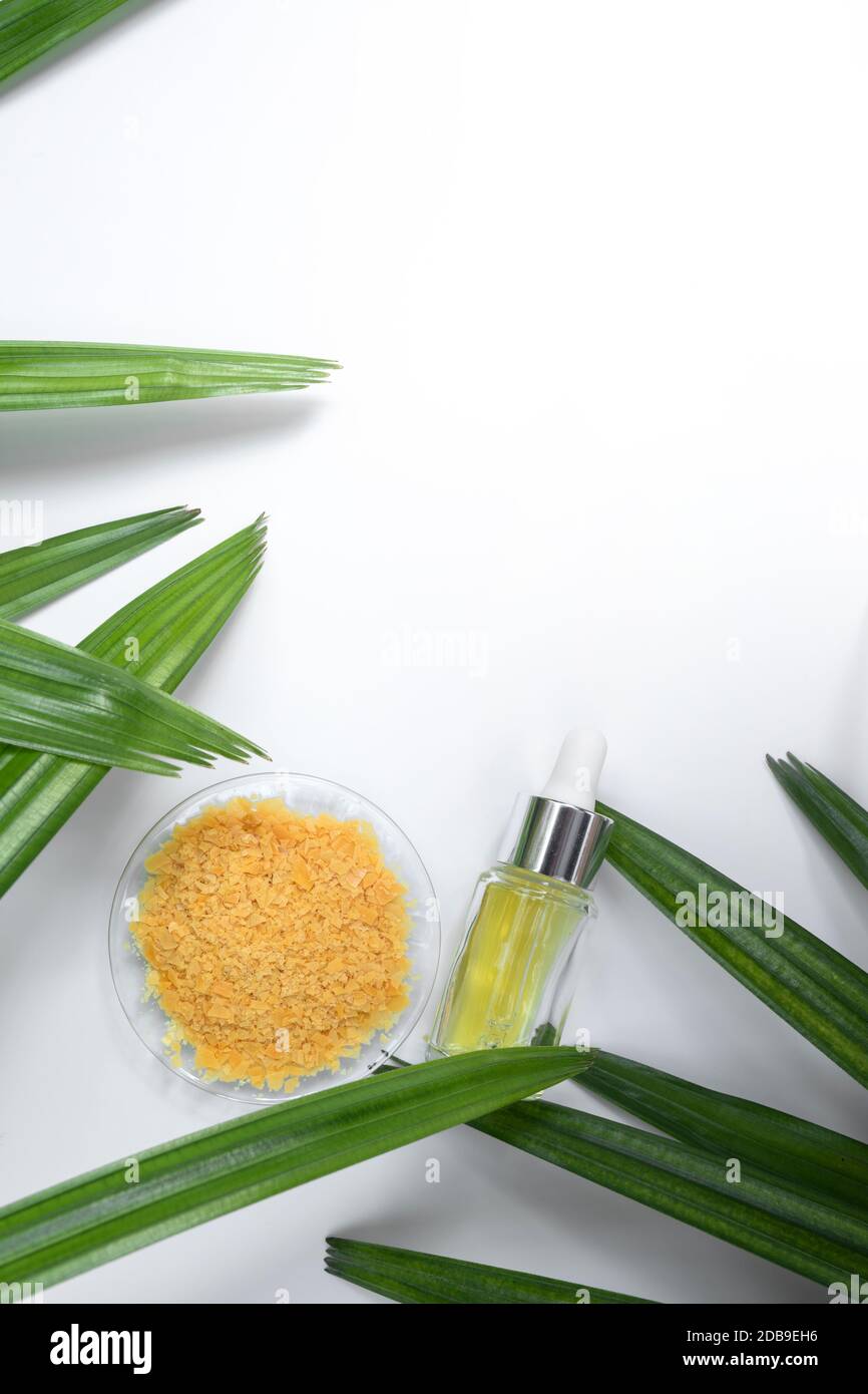 Bio Carnauba Wax kommt in Form von harten gelben Flocken und weit verbreitet in der Kosmetik als Emulgator oder als Verdickungsmittel für Lippenstift, Eyel verwendet Stockfoto