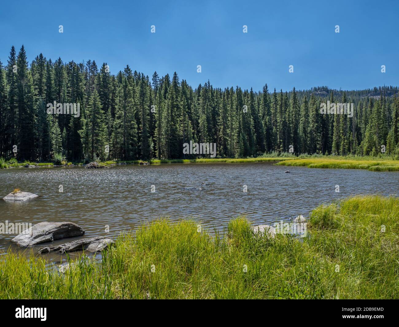 Lake of the Woods, Lake of the Woods Trail, Grand Mesa, Colorado. Stockfoto
