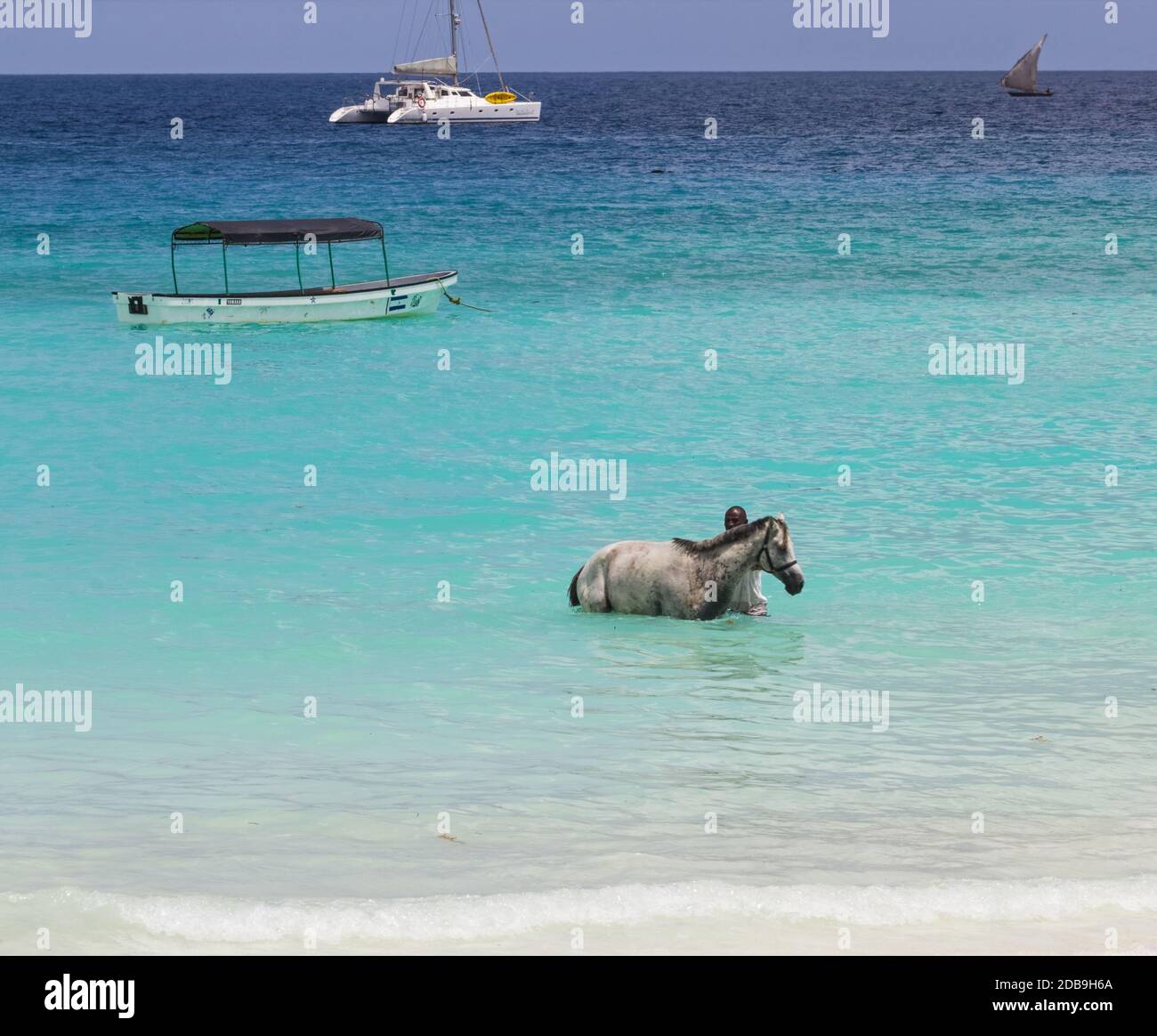 Ziemlich weißes Pferd badete in erstaunliches Wasser des Ozeans an Tag Stockfoto