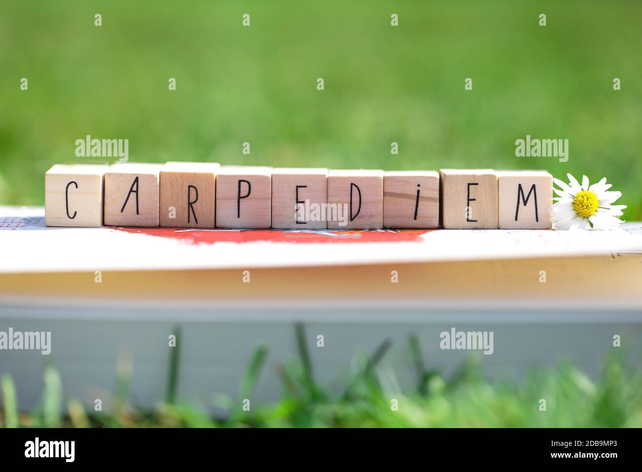 Holzwürfel mit den Worten Carpe Diem, was bedeutet ergreifen Sie den Tag, in grünem hellem Gras und einer weißen Gänseblümchen, Sommer Hintergrund close-up Stockfoto
