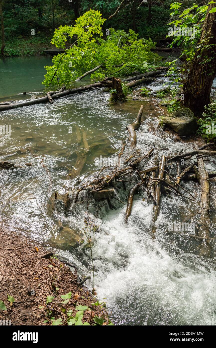 Lower Decew Conservation Area Ontario Kanada Stockfoto