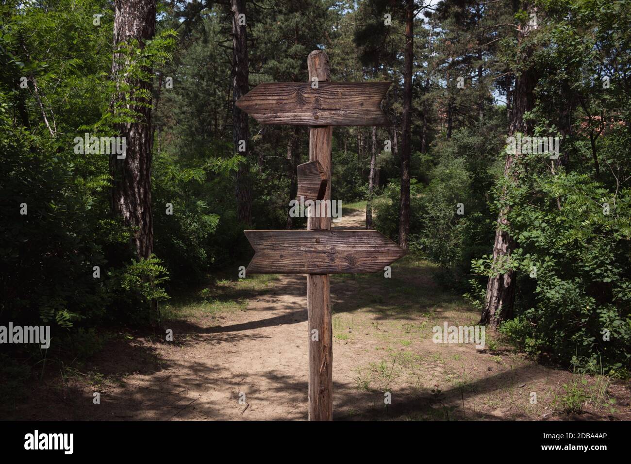 Wegweiser mit hölzernen Pfeil direktionale Zeichen im Wald Stockfoto