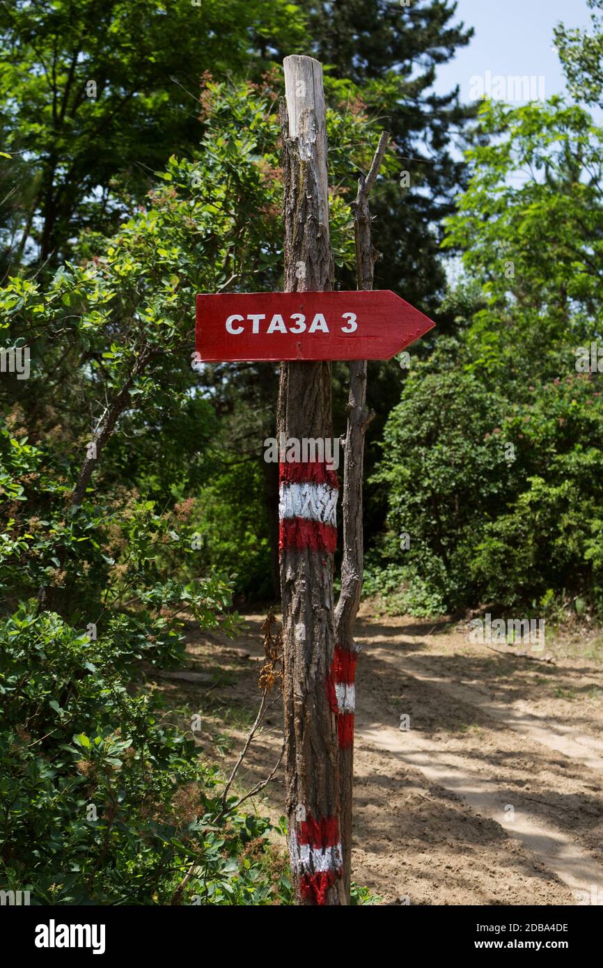 Wegweiser mit hölzernen Pfeil direktionale Zeichen Im Wald mit Text in serbischer Sprache Bedeutung Trail 3. Stockfoto