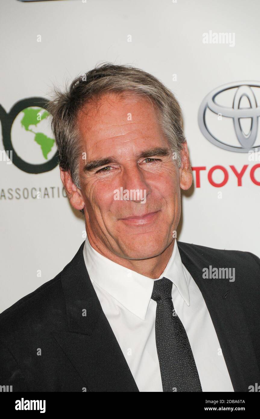 Scott Bakula Stockfotos Und Bilder Kaufen Alamy