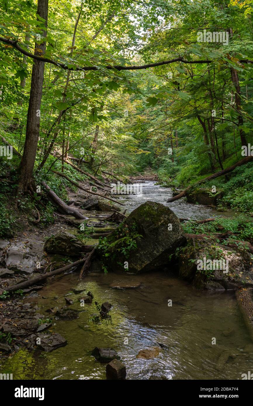 Lower Decew Conservation Area Ontario Kanada Stockfoto